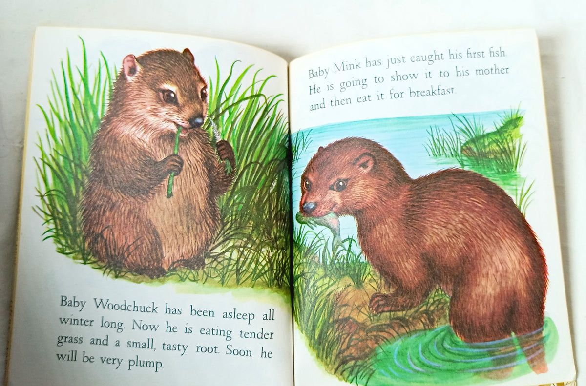 Baby Animals Little Golden Book Garth Williams 15th Printing 1973 - TulipStuff