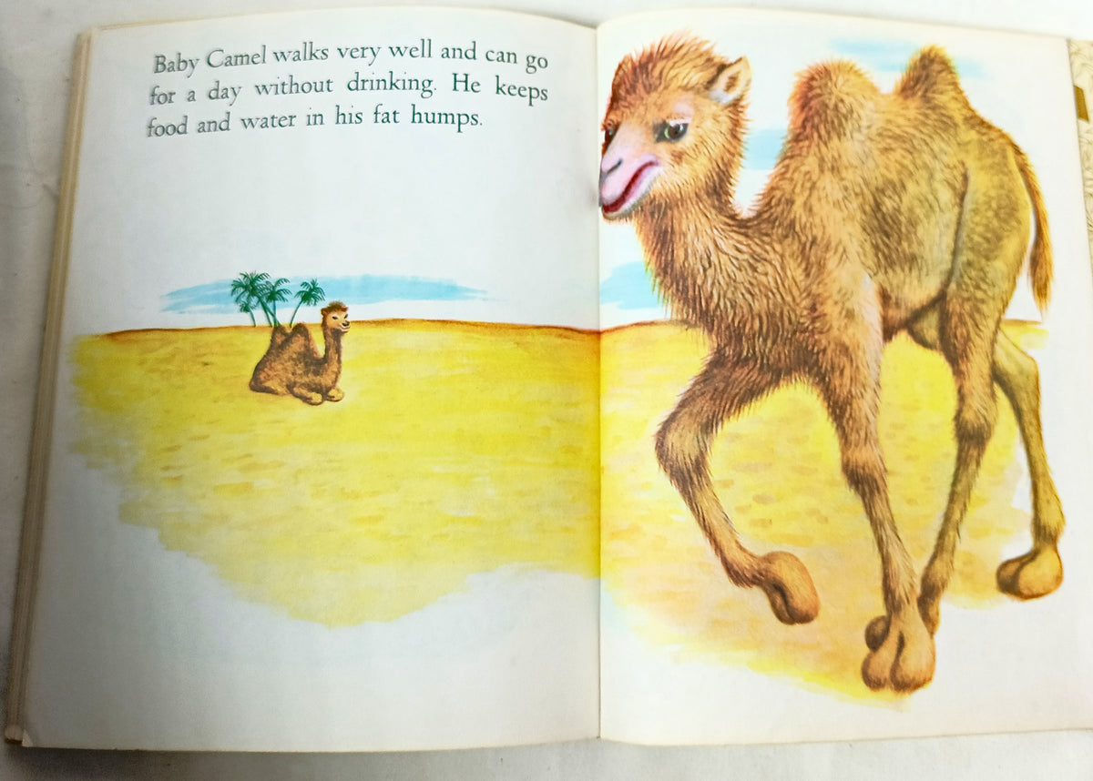Baby Animals Little Golden Book Garth Williams 15th Printing 1973 - TulipStuff
