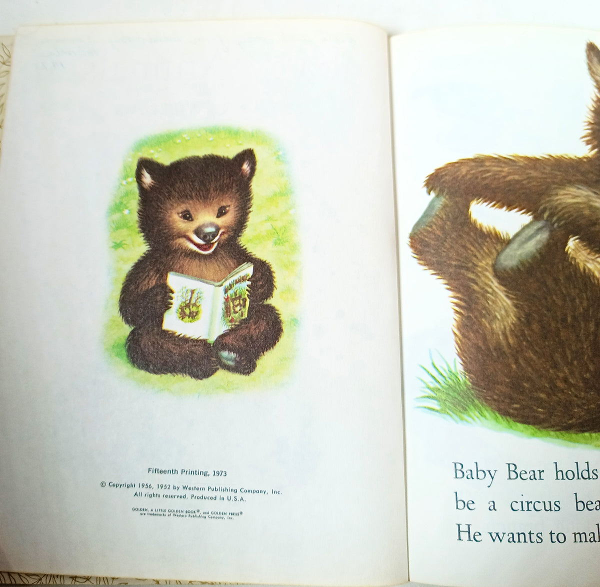 Baby Animals Little Golden Book Garth Williams 15th Printing 1973 - TulipStuff