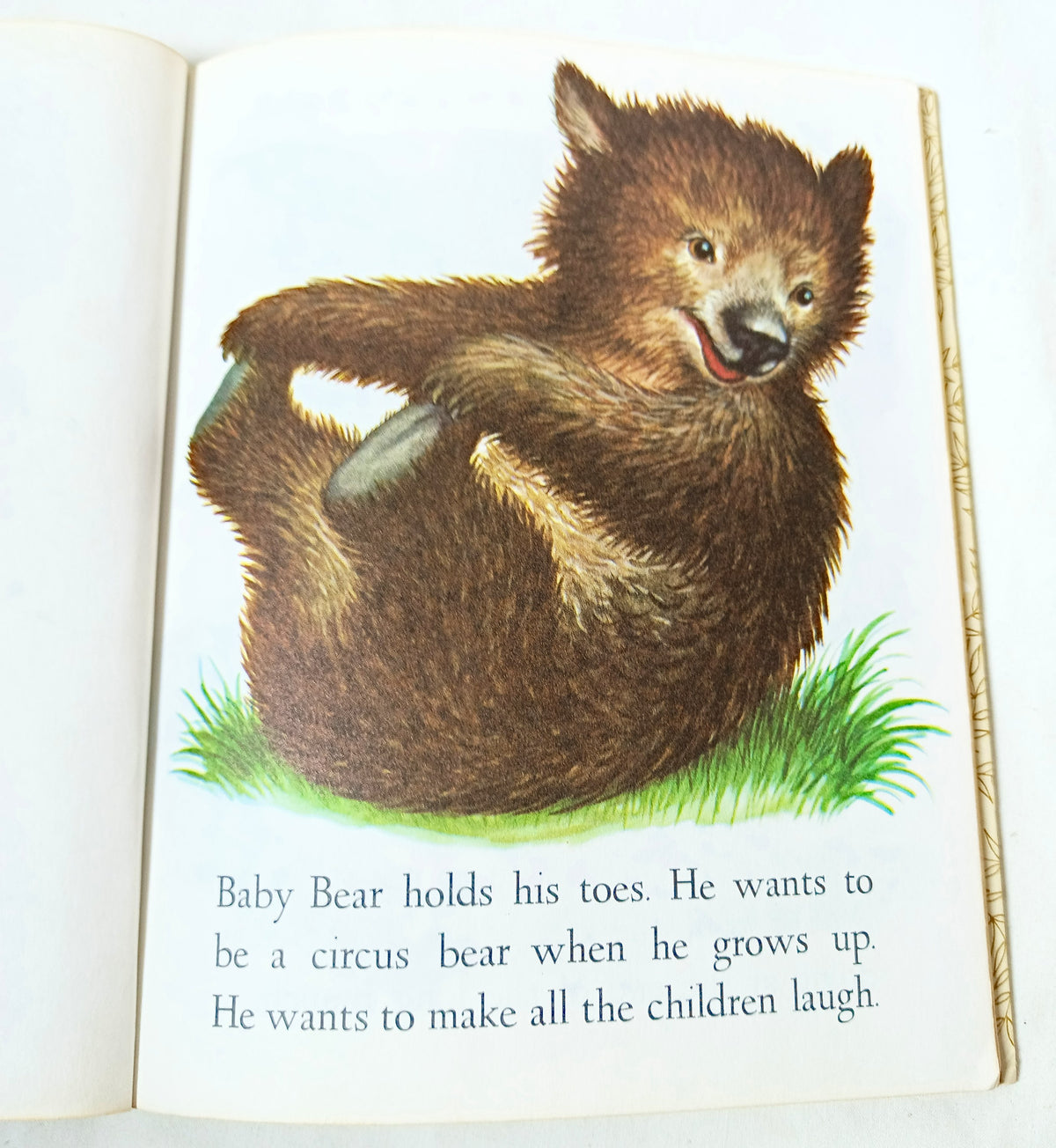 Baby Animals Little Golden Book Garth Williams 15th Printing 1973 - TulipStuff
