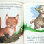 Baby Animals Little Golden Book Garth Williams 15th Printing 1973 - TulipStuff