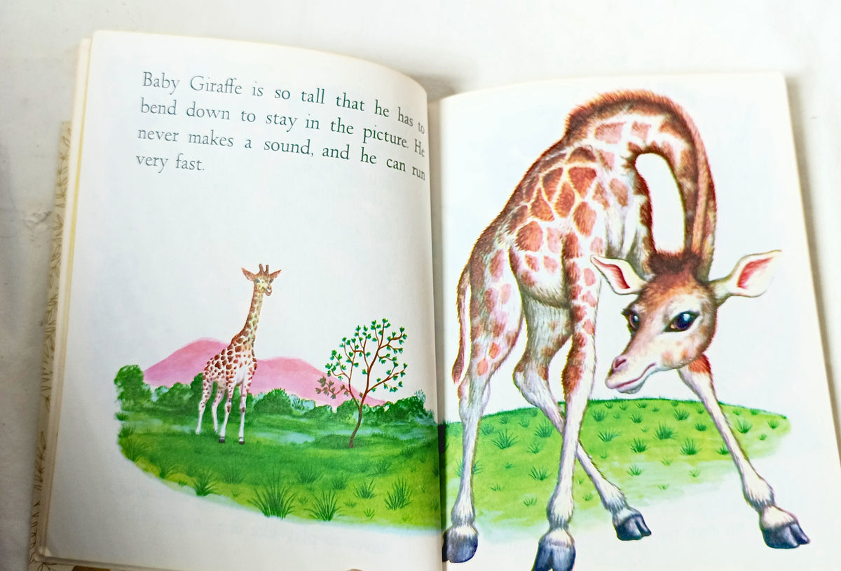 Baby Animals Little Golden Book Garth Williams 15th Printing 1973 - TulipStuff