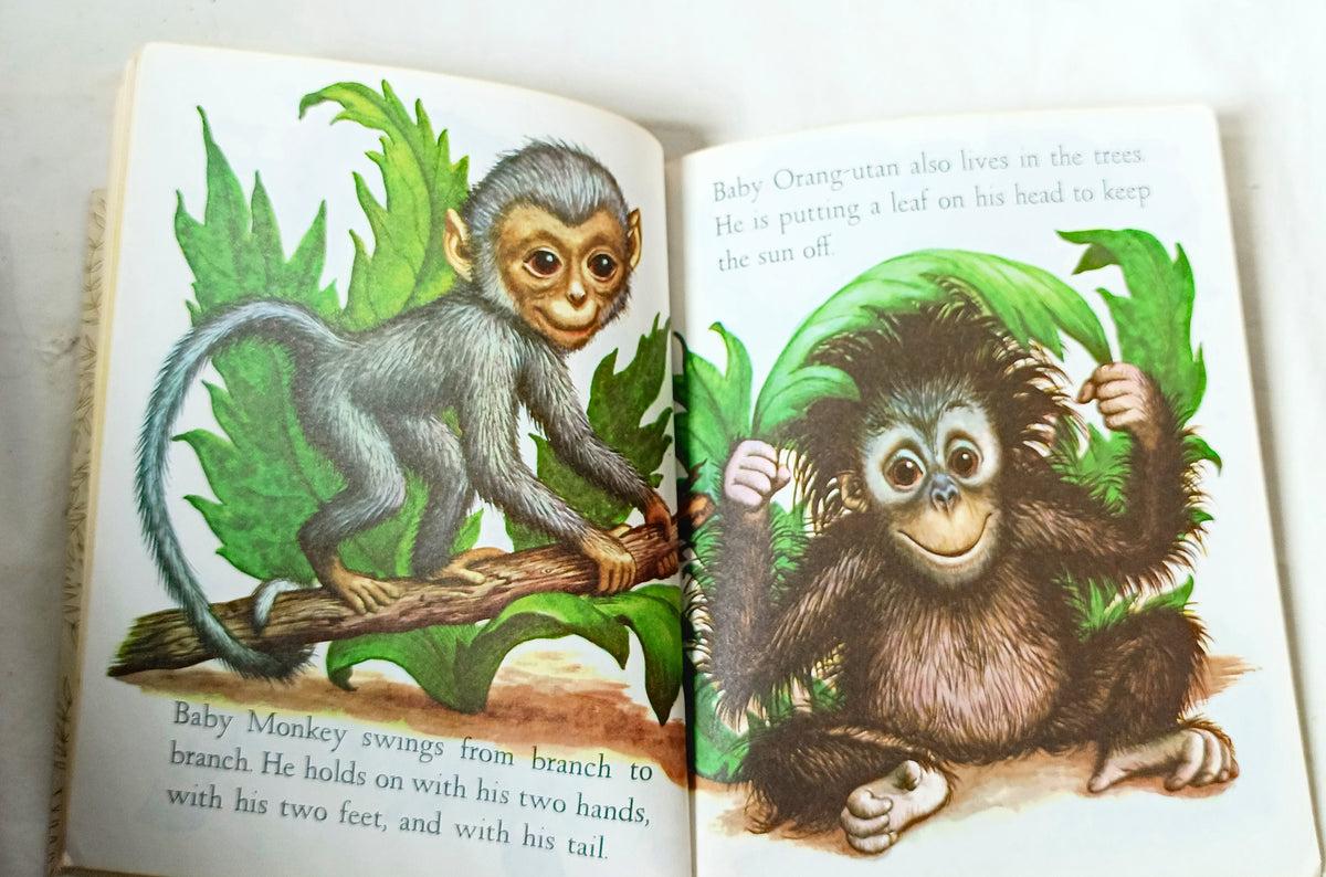 Baby Animals Little Golden Book Garth Williams 15th Printing 1973 - TulipStuff