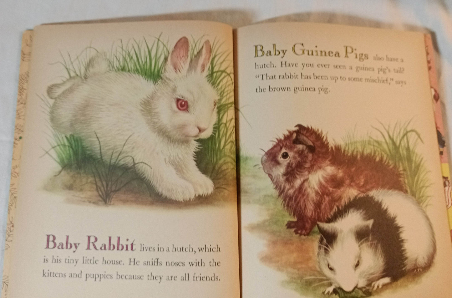 Baby Farm Animals Garth Williams Little Golden Book Hardcover 1958 - TulipStuff