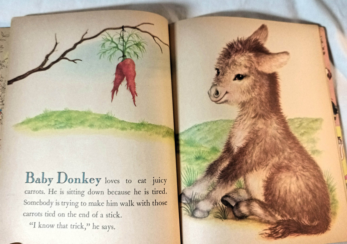 Baby Farm Animals Garth Williams Little Golden Book Hardcover 1958 - TulipStuff