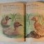 Baby Farm Animals Garth Williams Little Golden Book Hardcover 1958 - TulipStuff