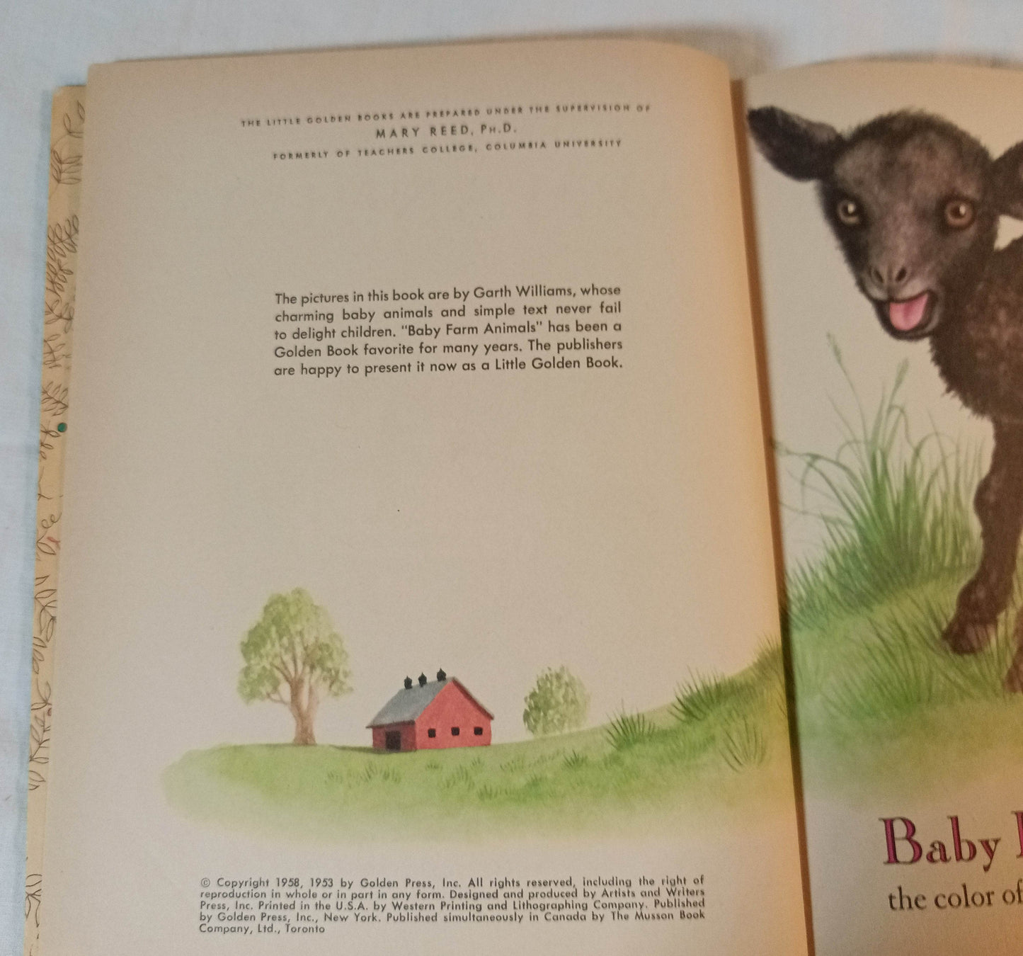 Baby Farm Animals Garth Williams Little Golden Book Hardcover 1958 - TulipStuff