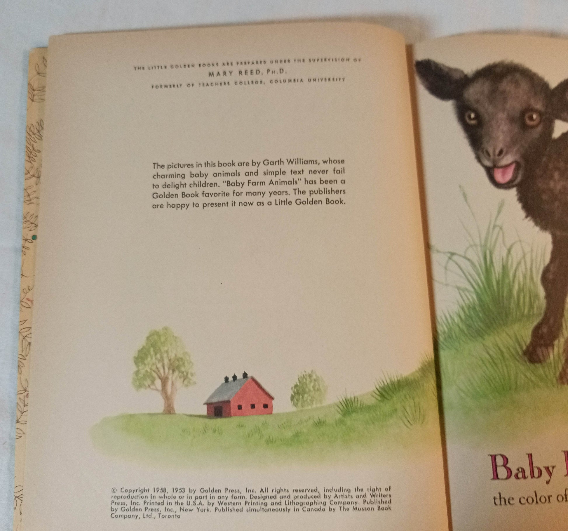 Baby Farm Animals Garth Williams Little Golden Book Hardcover 1958 - TulipStuff