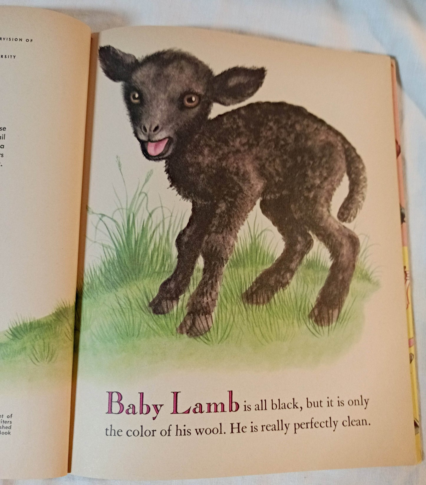 Baby Farm Animals Garth Williams Little Golden Book Hardcover 1958 - TulipStuff