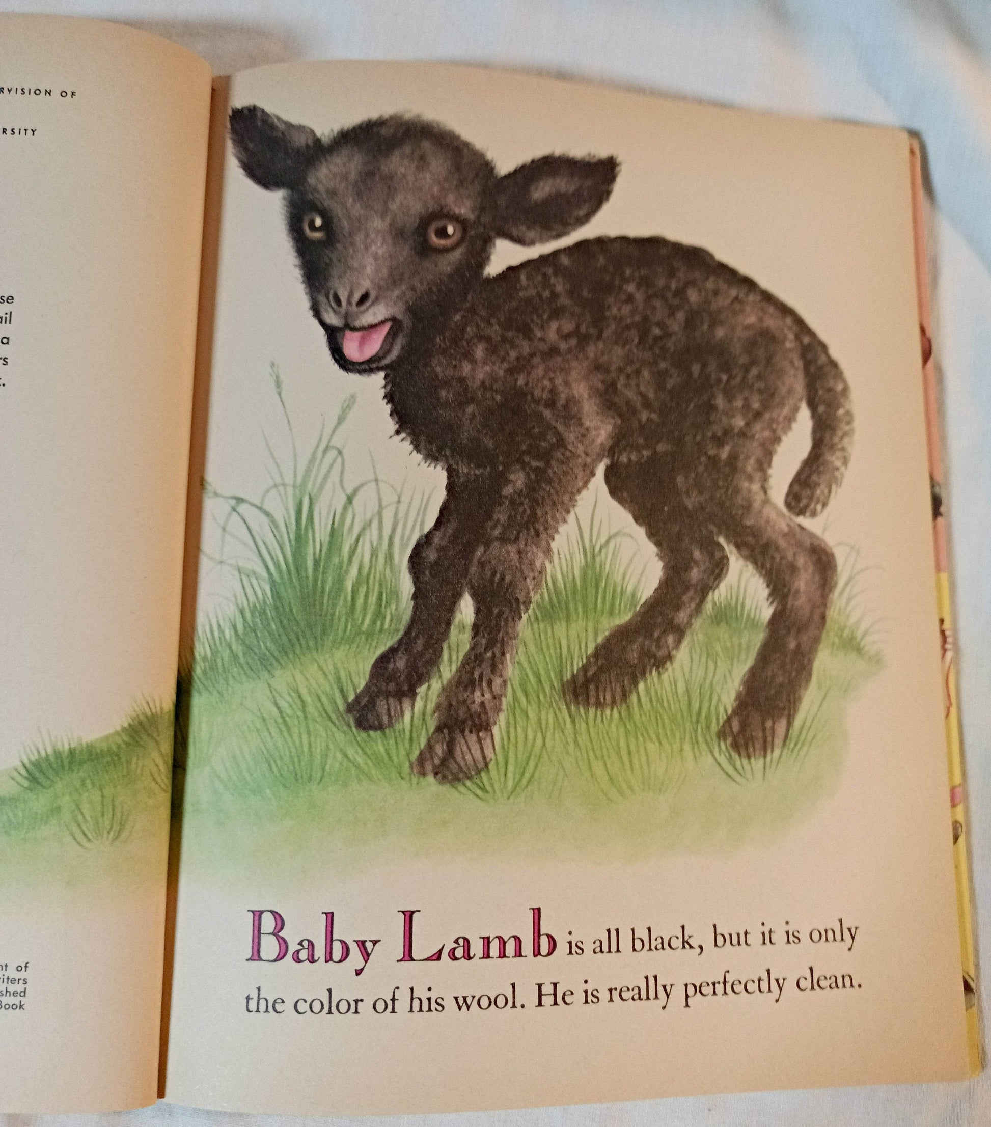 Baby Farm Animals Garth Williams Little Golden Book Hardcover 1958 - TulipStuff