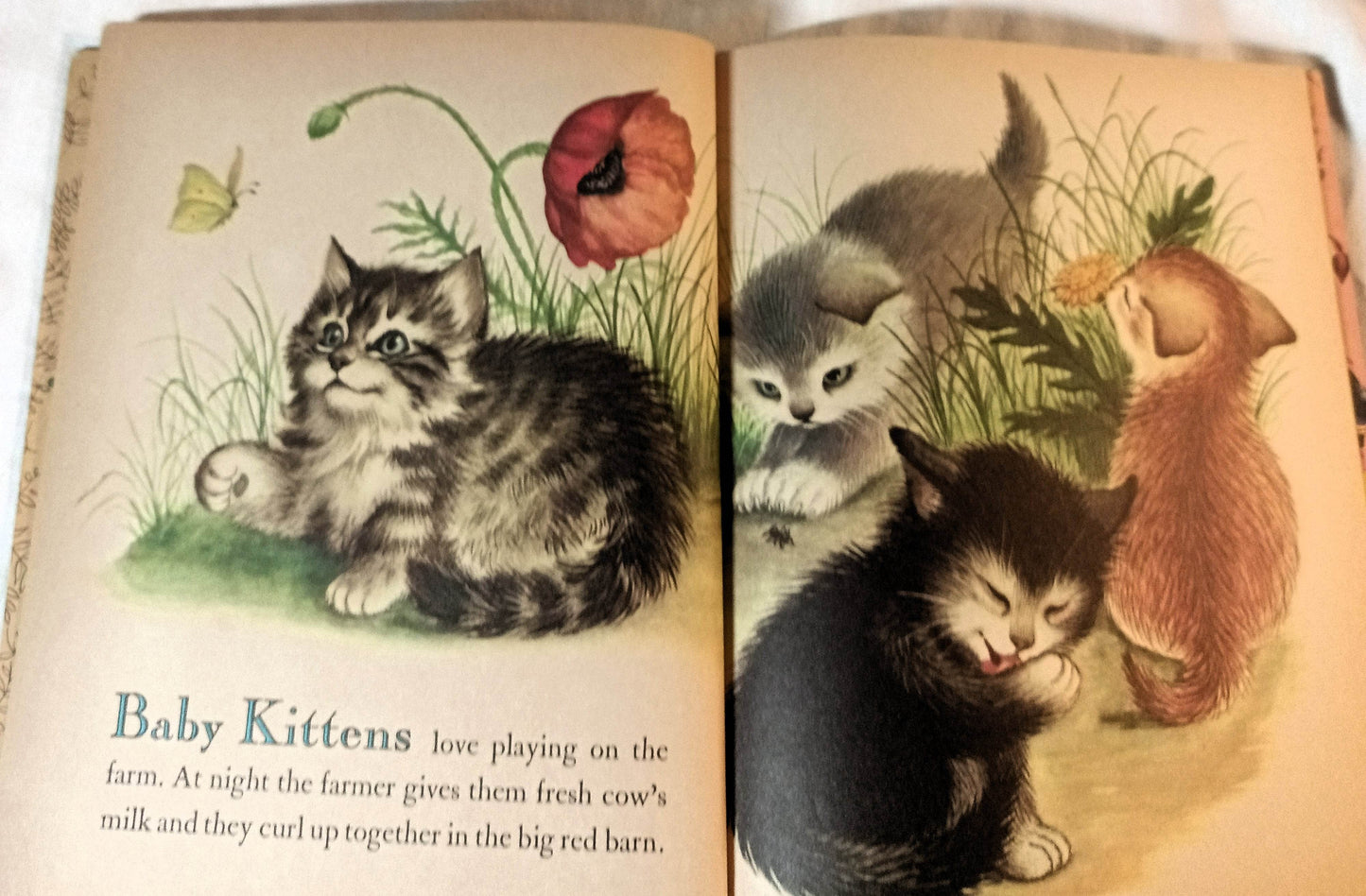 Baby Farm Animals Garth Williams Little Golden Book Hardcover 1958 - TulipStuff