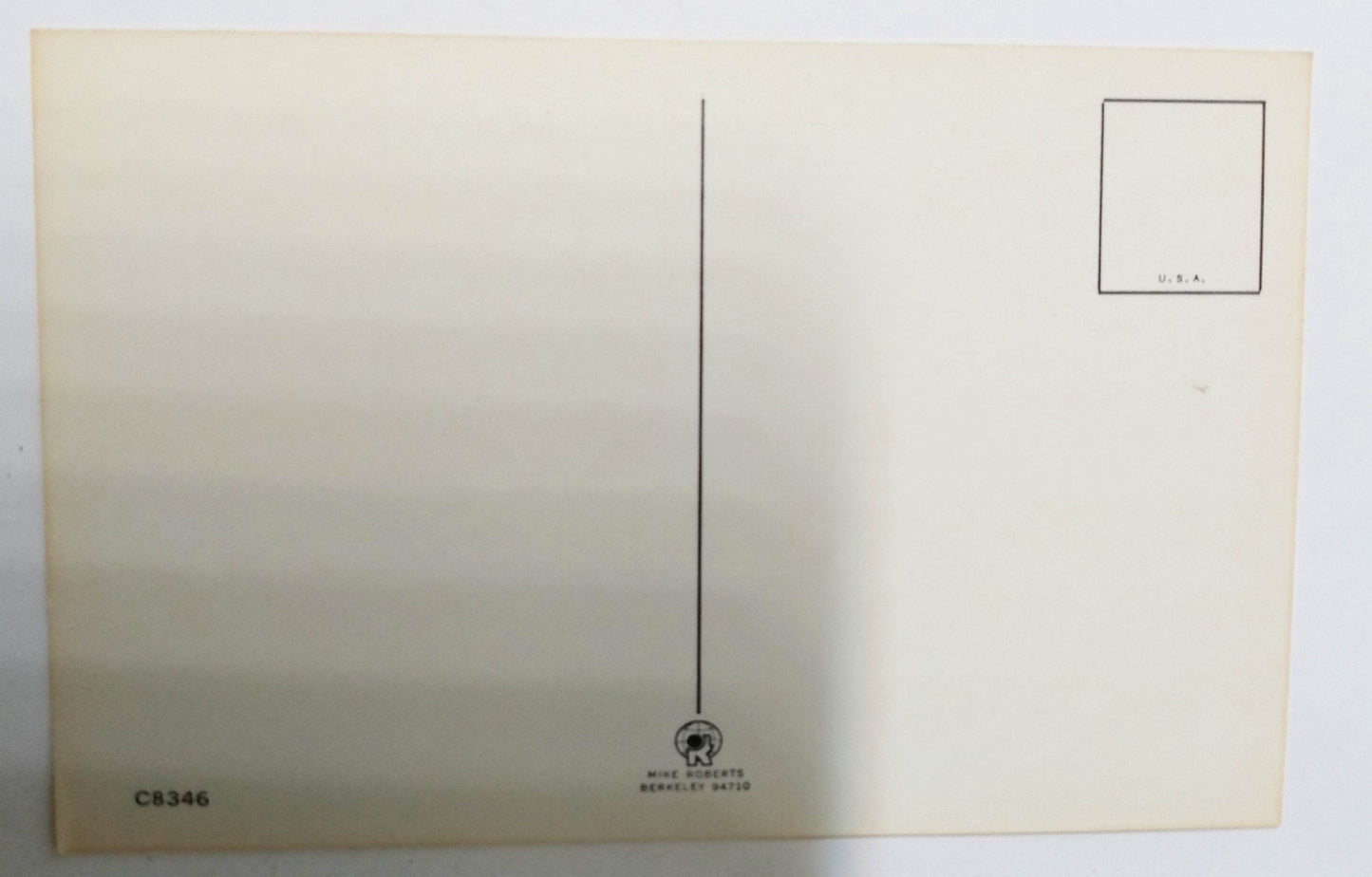 Back-Seat Driver's License Humor Novelty Postcard 1970's - TulipStuff