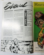 Load image into Gallery viewer, The Badger Issue #2 Capital Comics 1983 Norbert Sykes - TulipStuff
