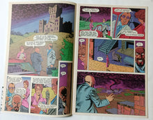 Load image into Gallery viewer, The Badger Issue #2 Capital Comics 1983 Norbert Sykes - TulipStuff
