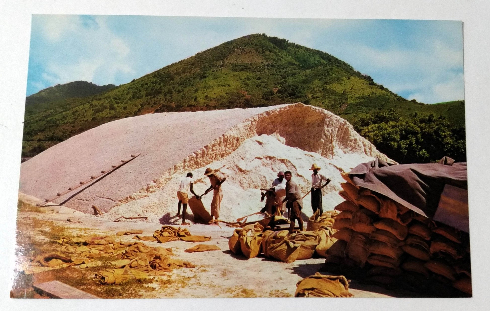 Bagging Salt For Export Grand Case St Martin French West Indies 1950's - TulipStuff