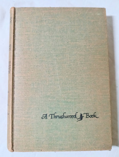 Bambi by Felix Salten Thrushwood Books Grosset Dunlap Hardcover 1929 - TulipStuff