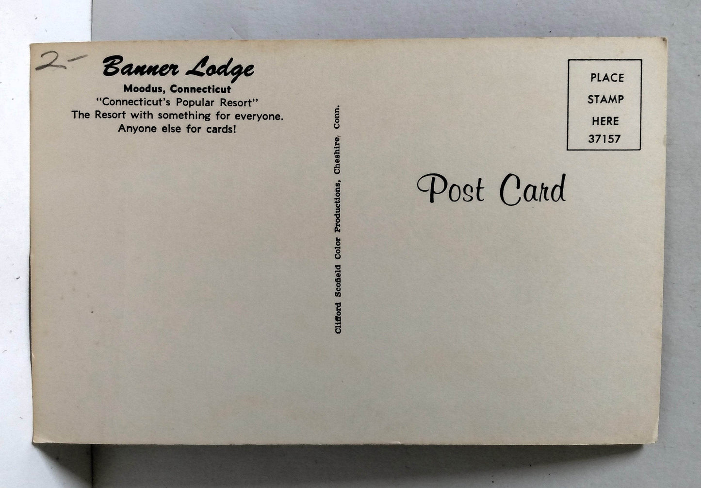 Banner Lodge Pool Moodus East Haddam Connecticut Postcard 1950's - TulipStuff