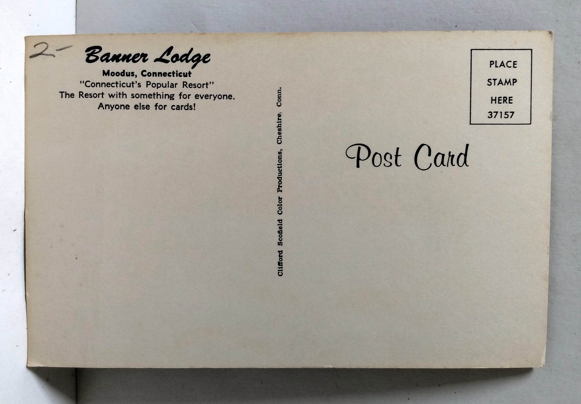 Banner Lodge Pool Moodus East Haddam Connecticut Postcard 1950's - TulipStuff