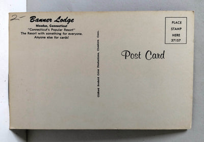 Banner Lodge Pool Moodus East Haddam Connecticut Postcard 1950's - TulipStuff