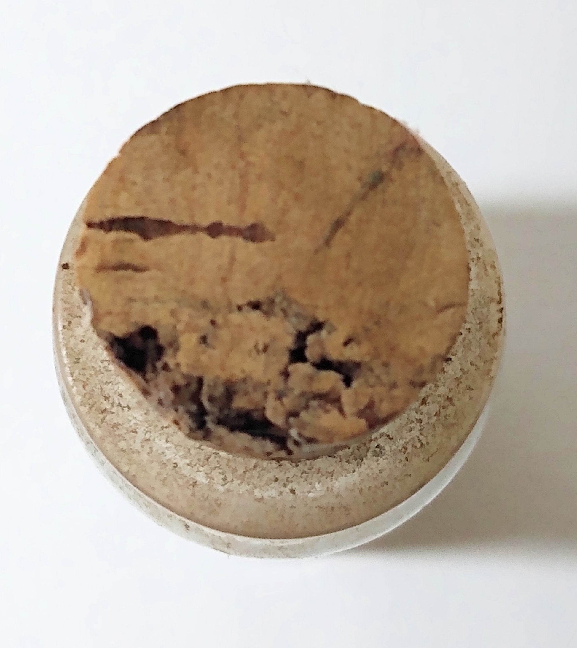 Beach Front Property Glass Souvenir Bottle Sand Seashells 1990's - TulipStuff