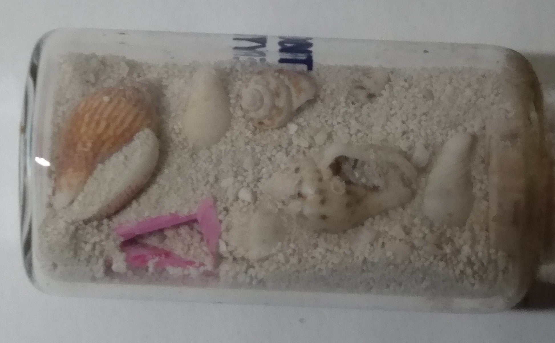 Beach Front Property Glass Souvenir Bottle Sand Seashells 1990's - TulipStuff