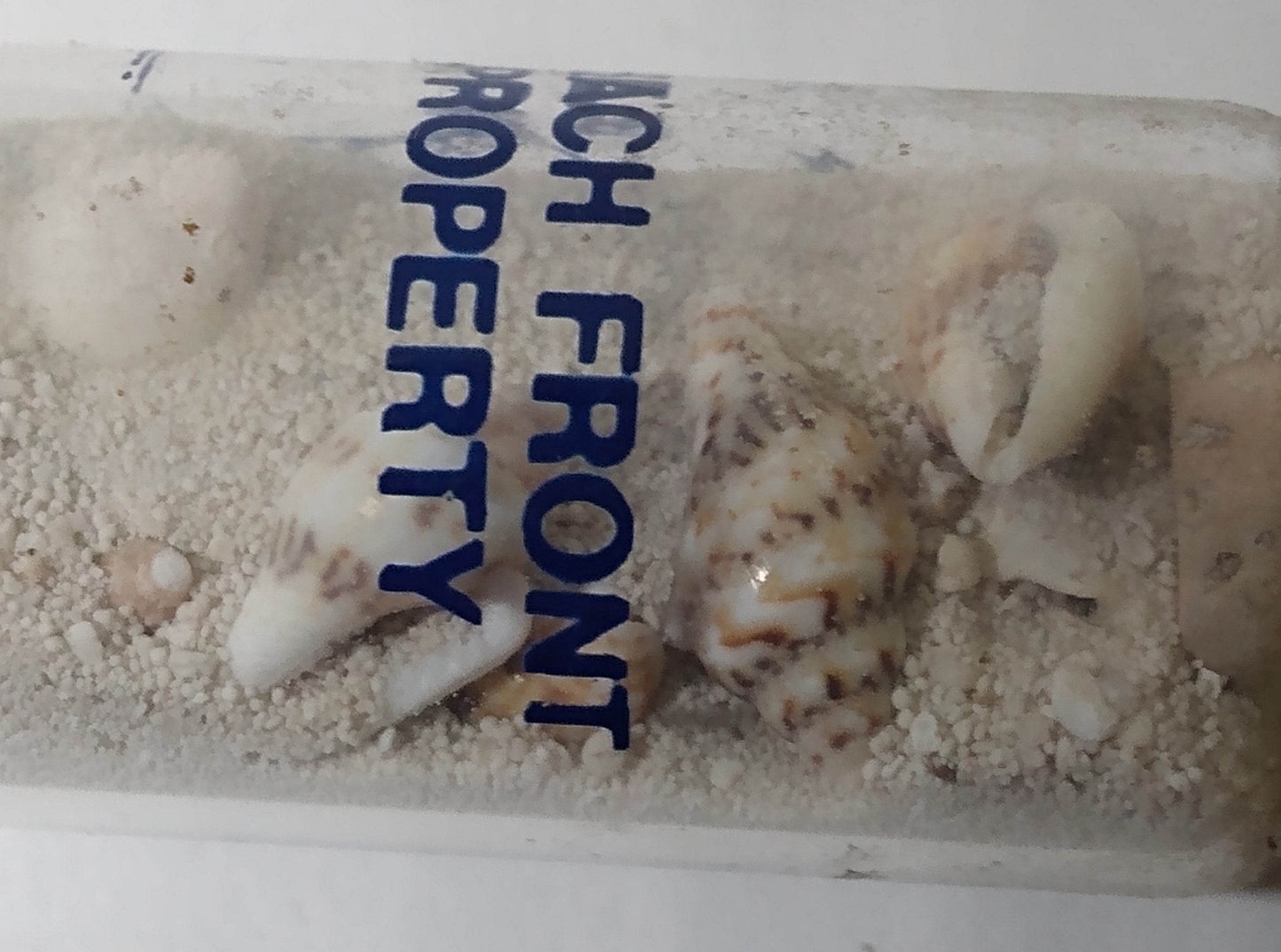 Beach Front Property Glass Souvenir Bottle Sand Seashells 1990's - TulipStuff