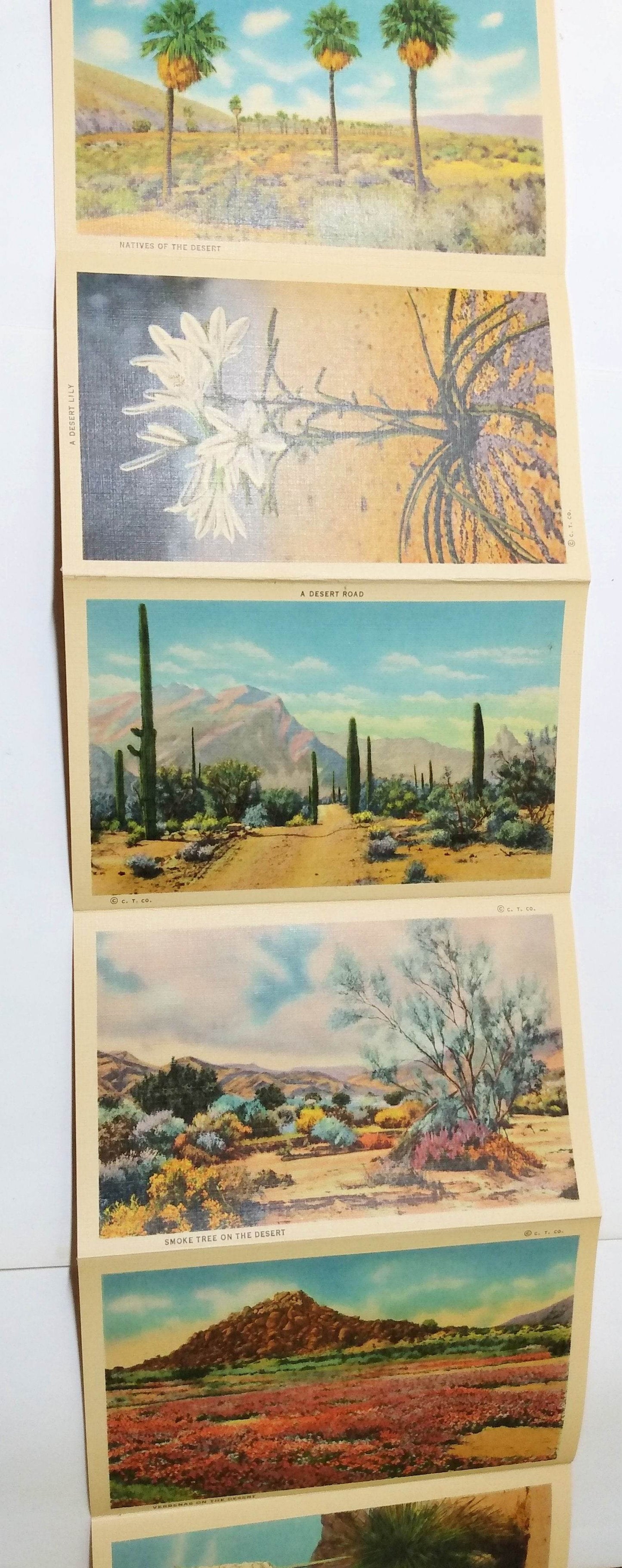 Beauties Of The Desert American Southwest Postcard Booklet 1940's - TulipStuff