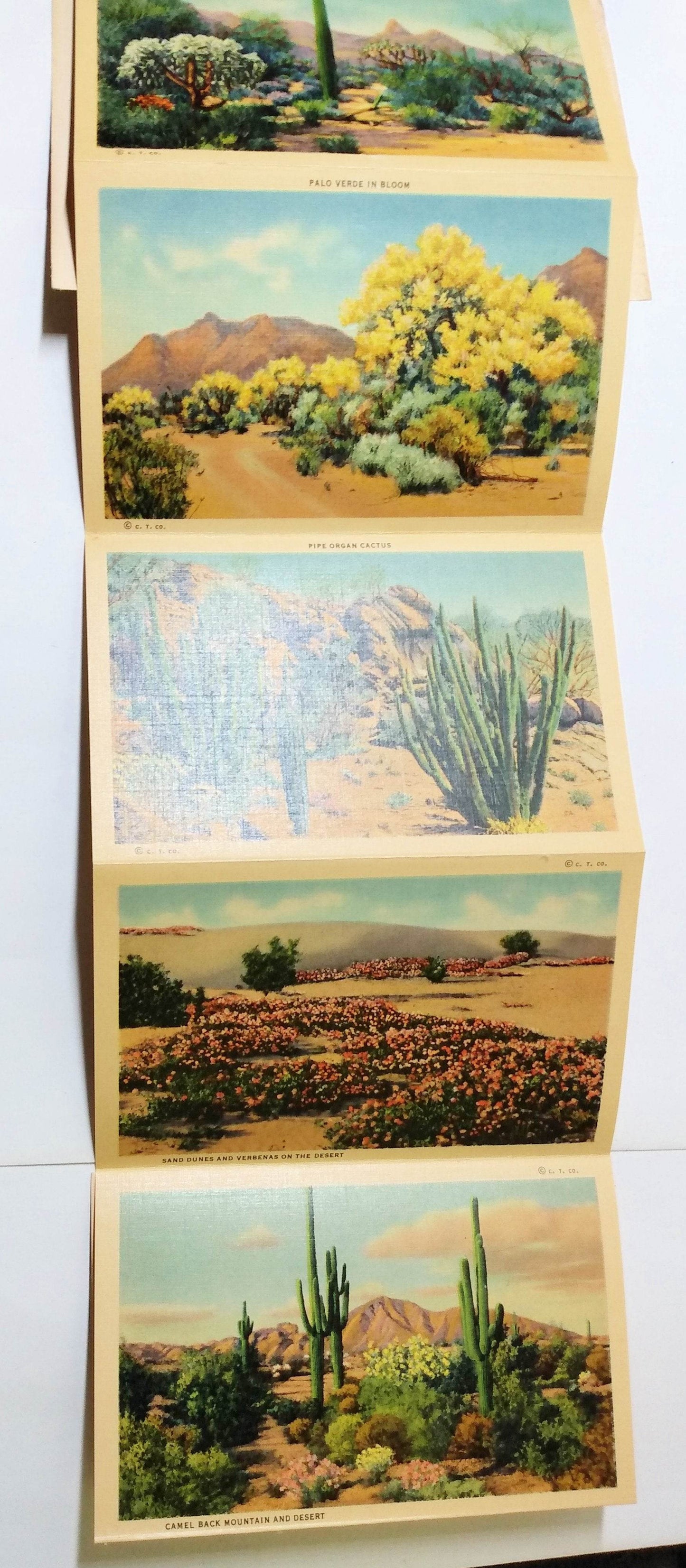 Beauties Of The Desert American Southwest Postcard Booklet 1940's - TulipStuff