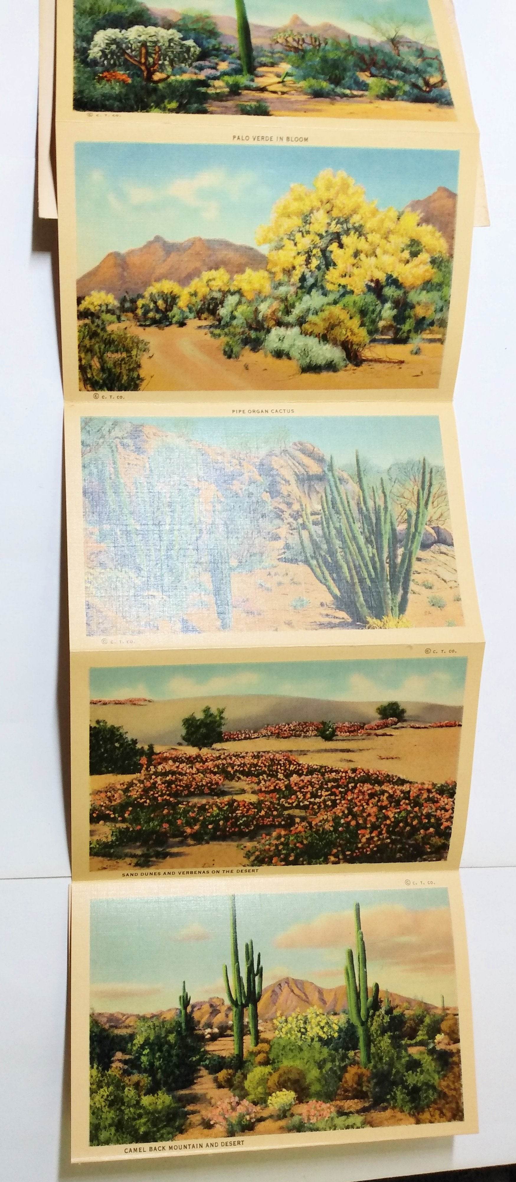 Beauties Of The Desert American Southwest Postcard Booklet 1940's - TulipStuff