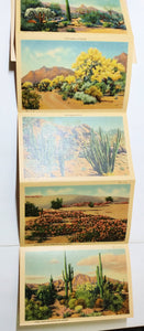 Beauties Of The Desert American Southwest Postcard Booklet 1940's - TulipStuff