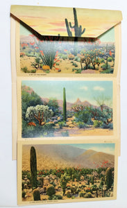 Beauties Of The Desert American Southwest Postcard Booklet 1940's - TulipStuff