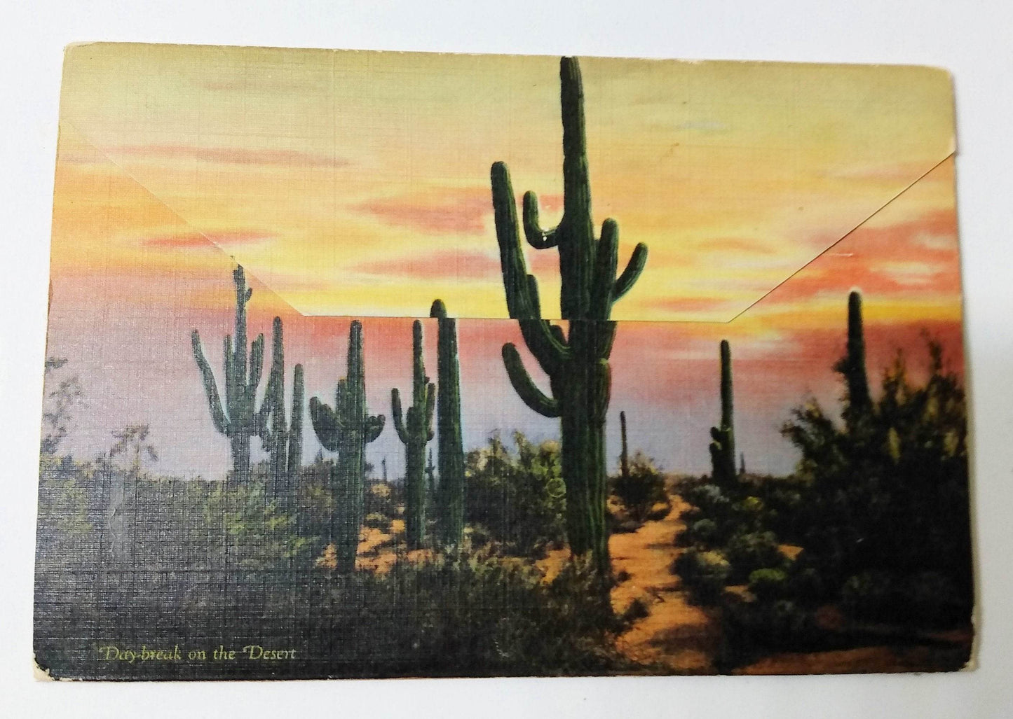 Beauties Of The Desert American Southwest Postcard Booklet 1940's - TulipStuff