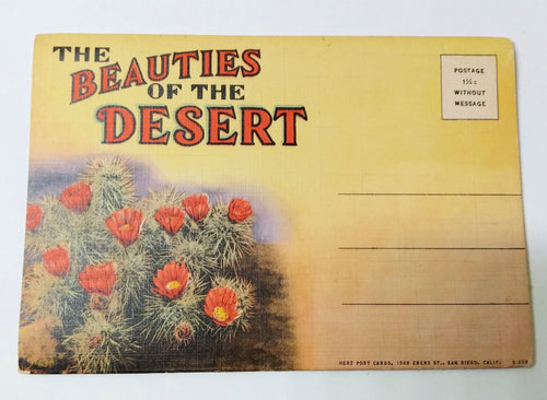 Beauties Of The Desert American Southwest Postcard Booklet 1940's - TulipStuff