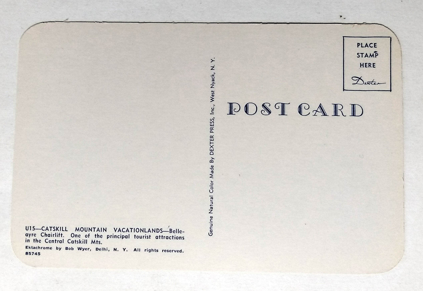 Bellayre Chairlift Ski Resort Catskill Mountains New York 1950's Postcard - TulipStuff