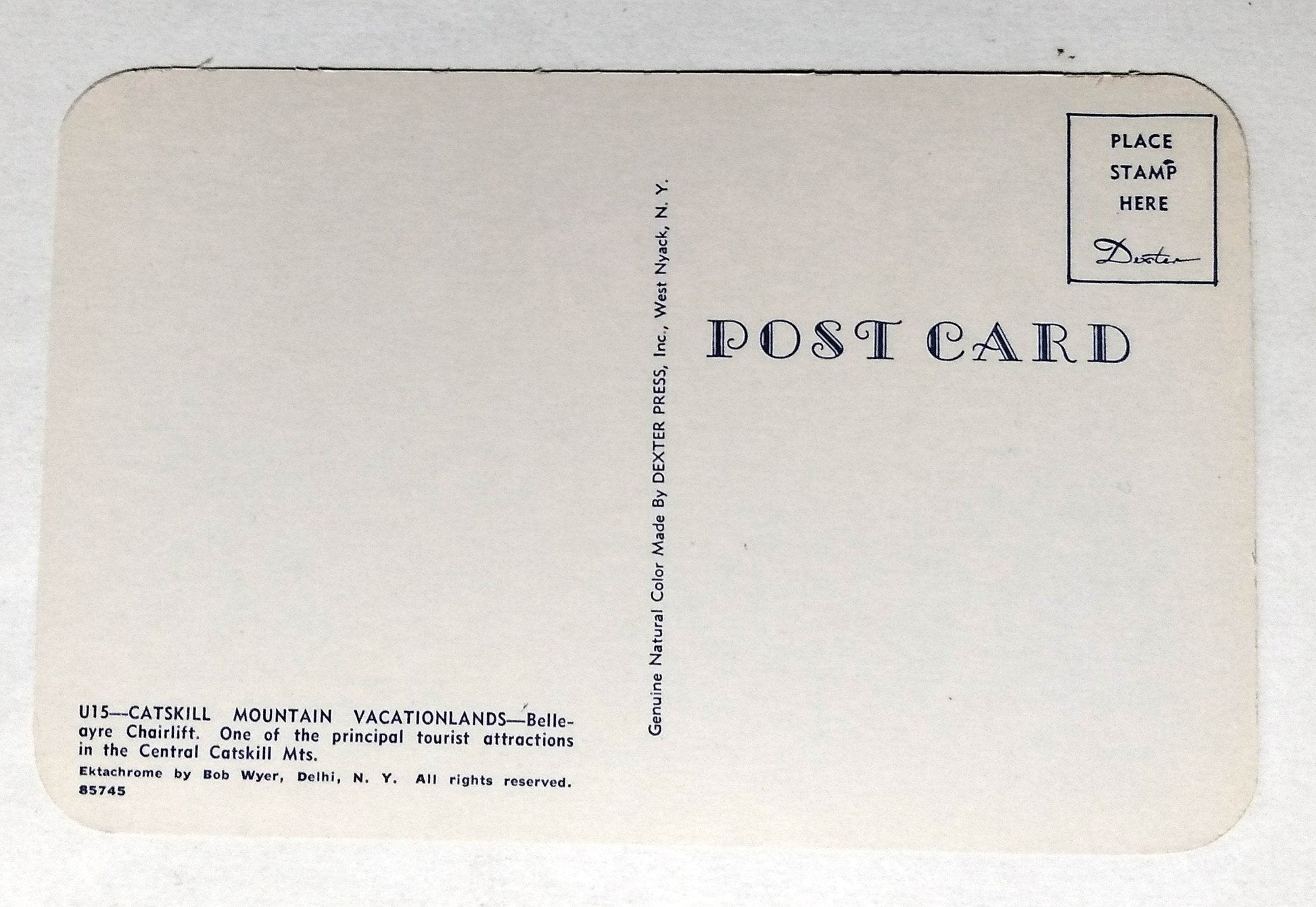 Bellayre Chairlift Ski Resort Catskill Mountains New York 1950's Postcard - TulipStuff