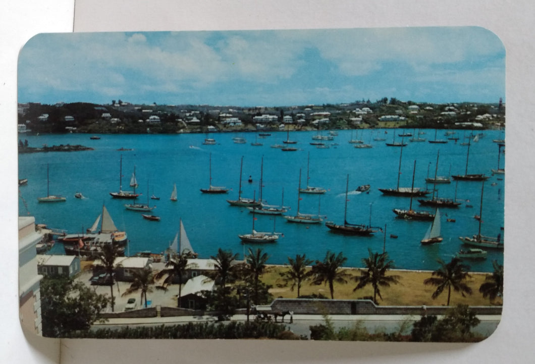 1956 Bermuda Race Yachts In Hamilton Harbor Postcard - TulipStuff