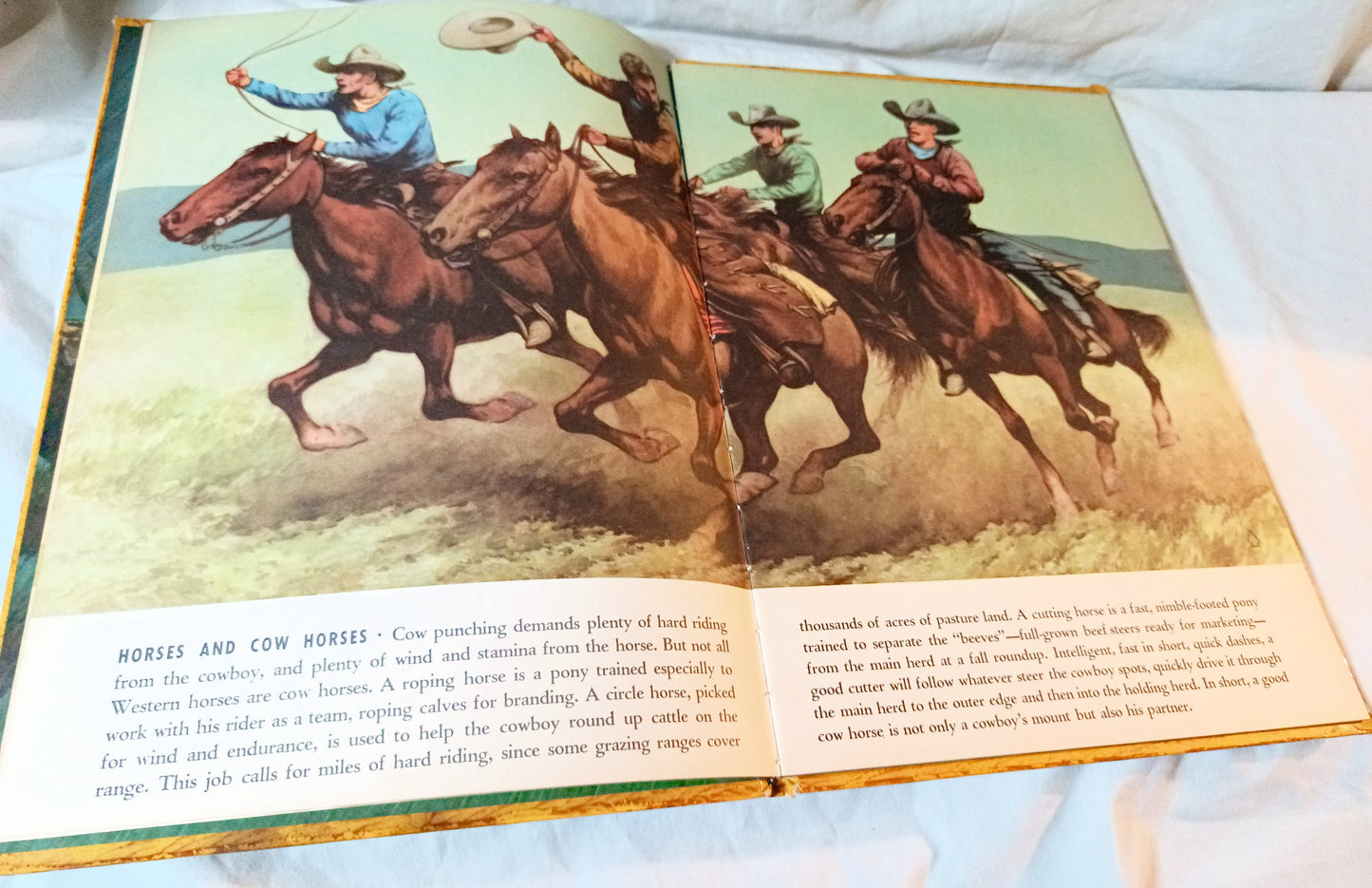 The Big Book Of Cowboys Sydney E Fletcher Grosset Dunlap 1950 - TulipStuff