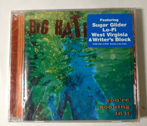 Big Hate You're Soaking In It Alternative Rock Album CD Flip 1998 - TulipStuff