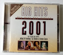 Load image into Gallery viewer, Big Hits Die Hits Des Jahres 2001  Eurohouse Synthpop CD Disky - TulipStuff
