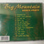 Big Mountain Dance Party California Reggae Album CD Momentum 2000 - TulipStuff
