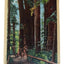 Natural Graft Tree Big Trees Park Santa Cruz County 1940's Linen Postcard - TulipStuff