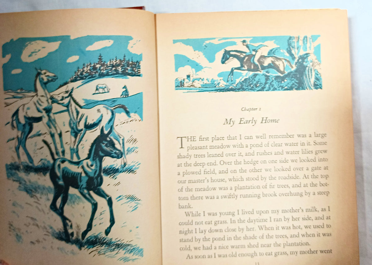 Black Beauty Anna Sewell Whitman Classics Hardcover 1955 - TulipStuff