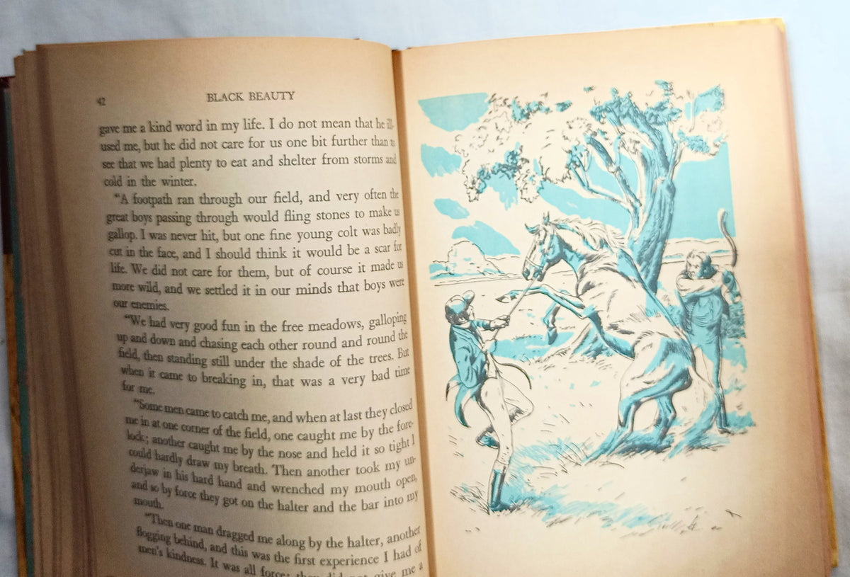 Black Beauty Anna Sewell Whitman Classics Hardcover 1955 - TulipStuff