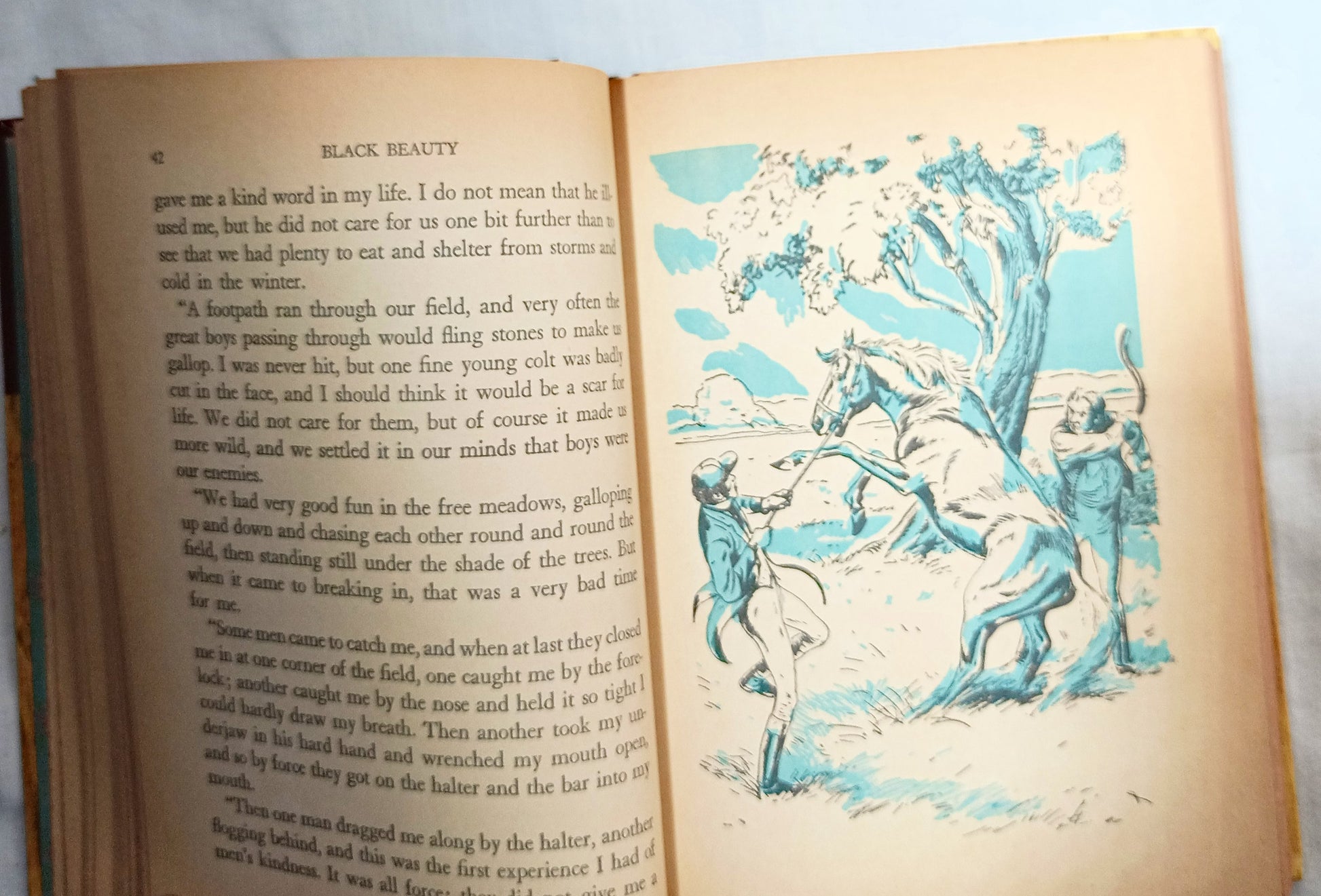 Black Beauty Anna Sewell Whitman Classics Hardcover 1955 - TulipStuff