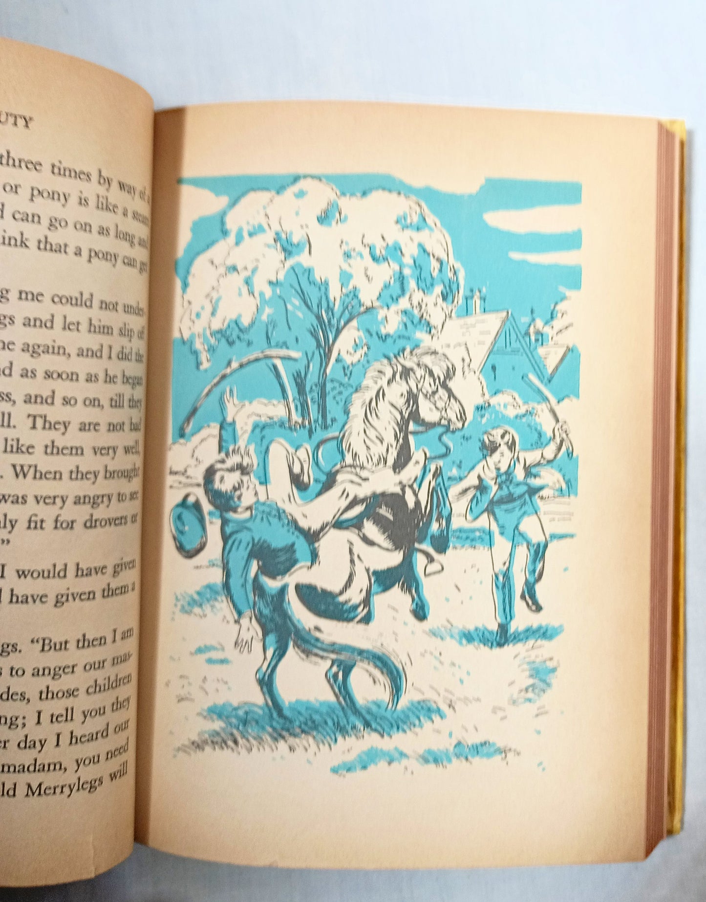 Black Beauty Anna Sewell Whitman Classics Hardcover 1955 - TulipStuff