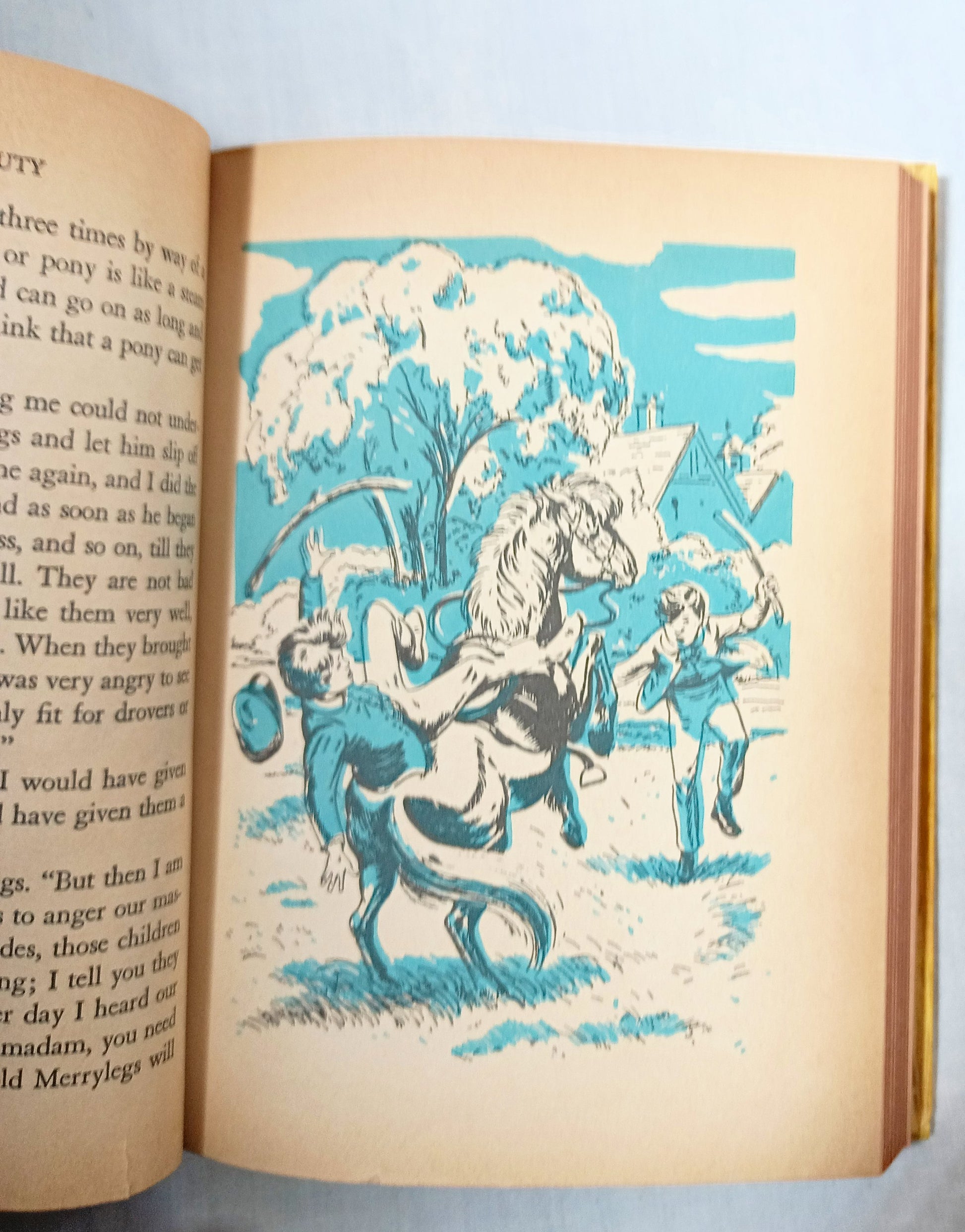 Black Beauty Anna Sewell Whitman Classics Hardcover 1955 - TulipStuff