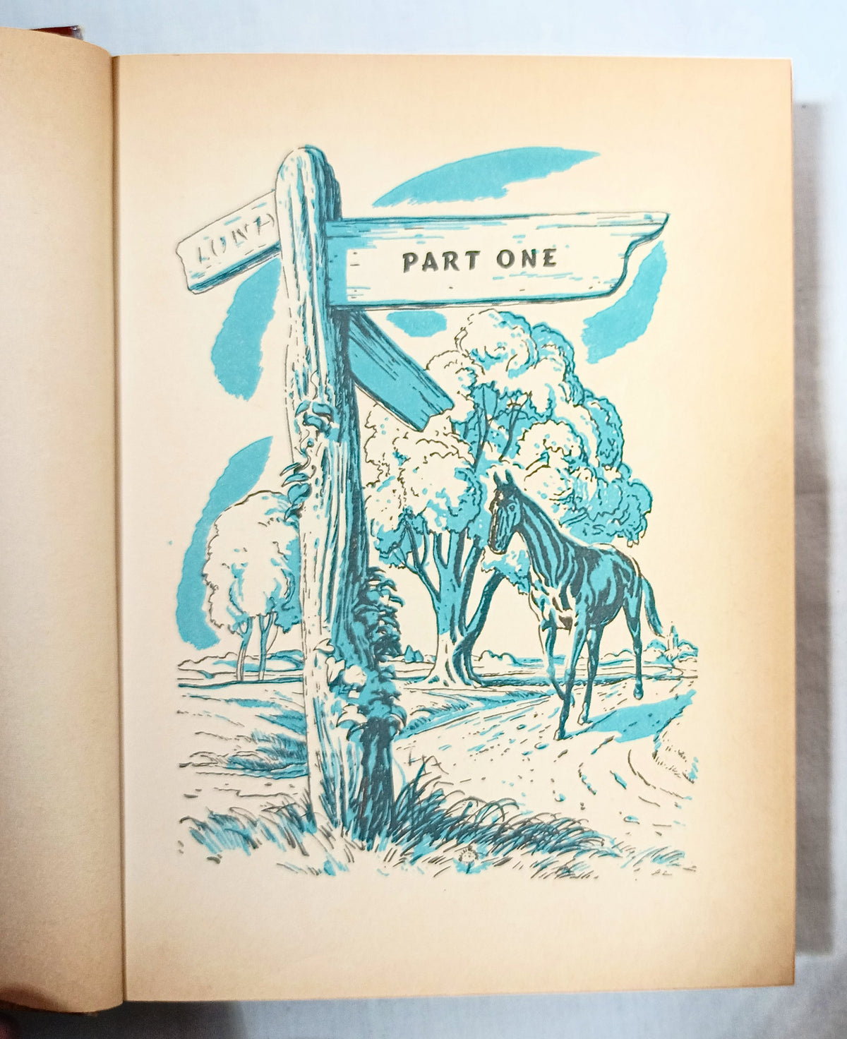 Black Beauty Anna Sewell Whitman Classics Hardcover 1955 - TulipStuff