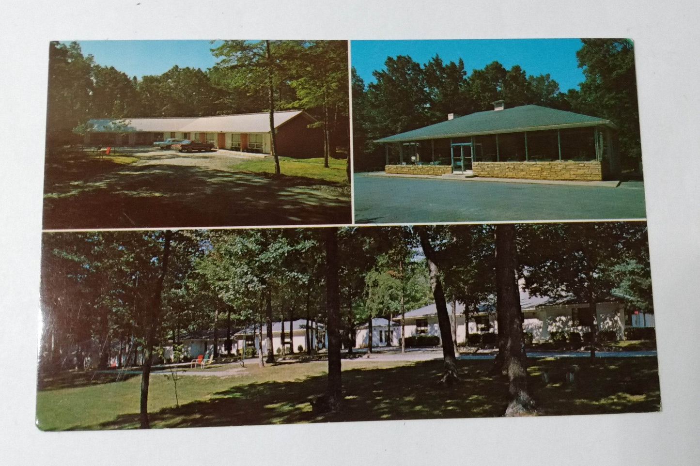 Blu-Vue Motel & Restaurant Blue Ridge Pwky Mt Airy NC 1960's Postcard - TulipStuff