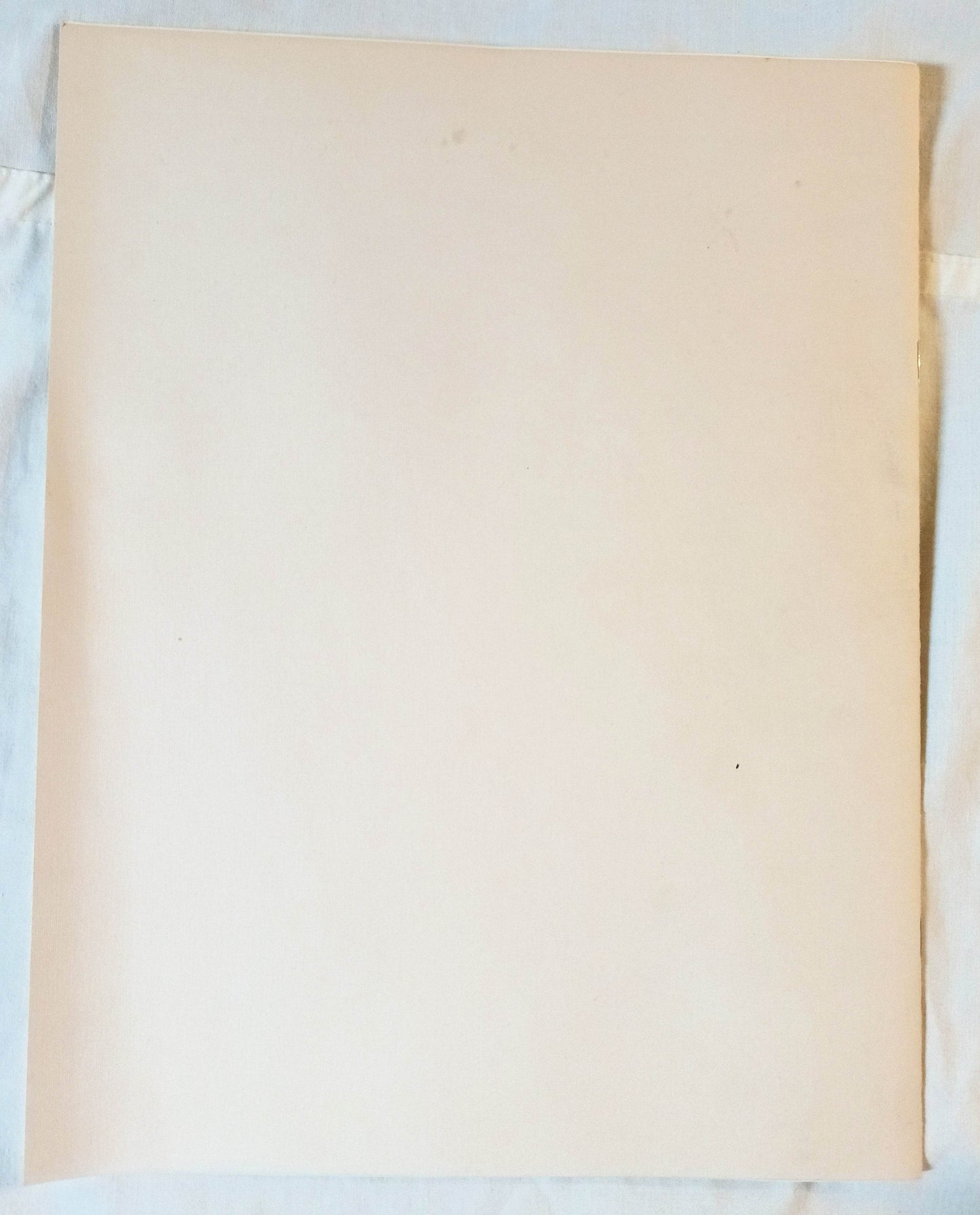 Boston Stock Exchange Incorporated 1983 Annual Report - TulipStuff