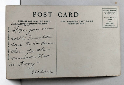 Boston Scene in Public Garden Massachusetts 1910's Postcard - TulipStuff